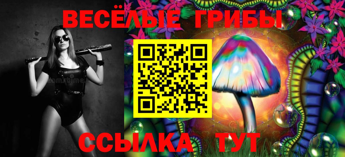 Псилоцибиновые грибы MAGIC MUSHROOMS  Вход с VPN  Можайск  Галлюциногенные грибы прущие грибы 
